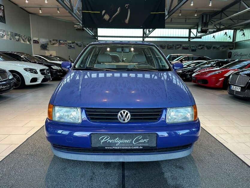 Polo