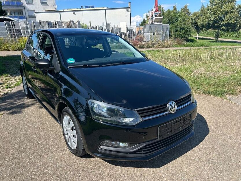 Polo
