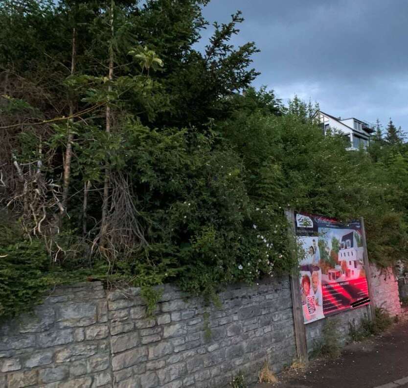 Grundstück zu verkaufen in Nagold 146.000 € 250 m²