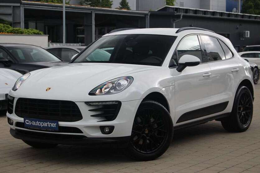 Macan