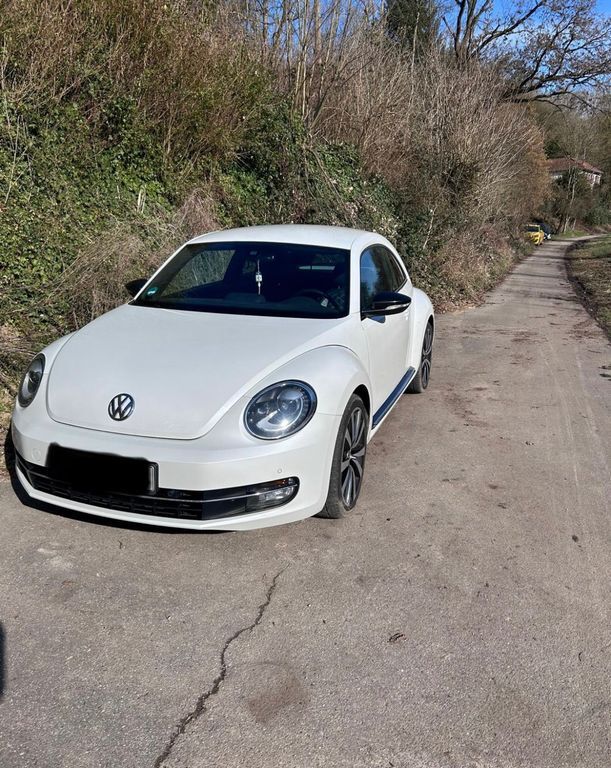 Beetle