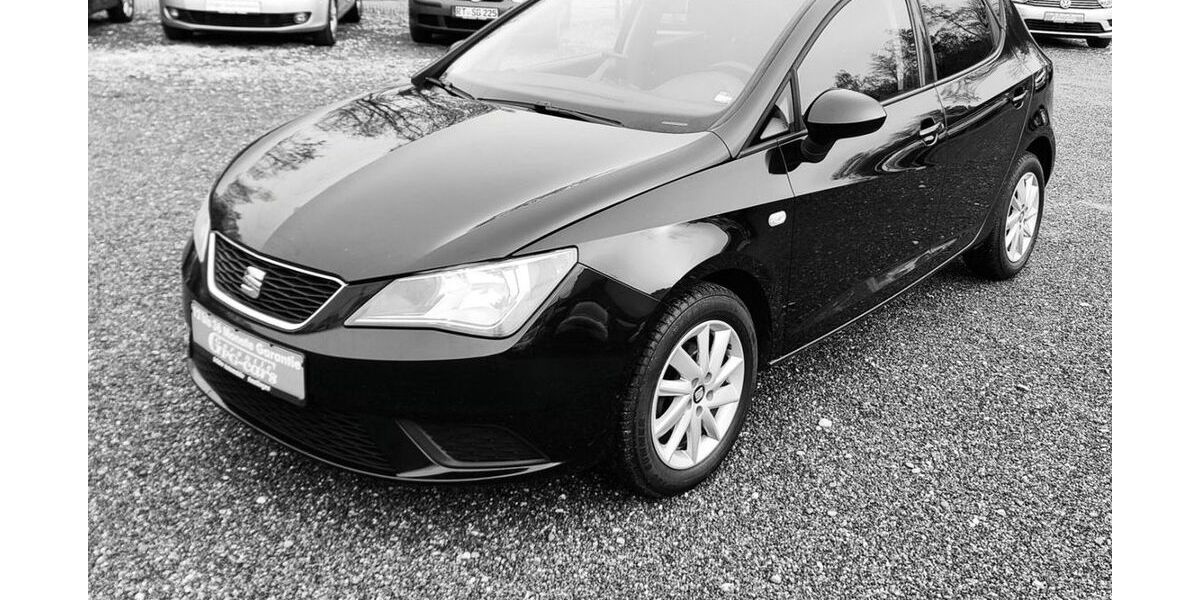Seat Ibiza 150.000 km 5.199 &euro; Reutlingen 72766
