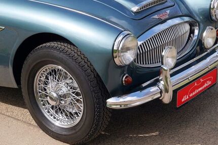 Austin Healey Andere