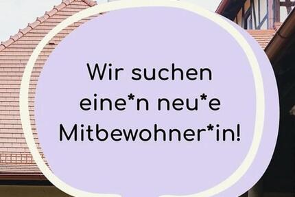 WG - Wohnung 3 zimmer