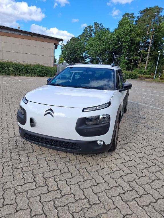 C4 Cactus