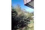 Reihenhaus Bad Liebenzell - 8 Zimmer, 230 m&sup2;, 439.000&euro; | Angebot:26310838