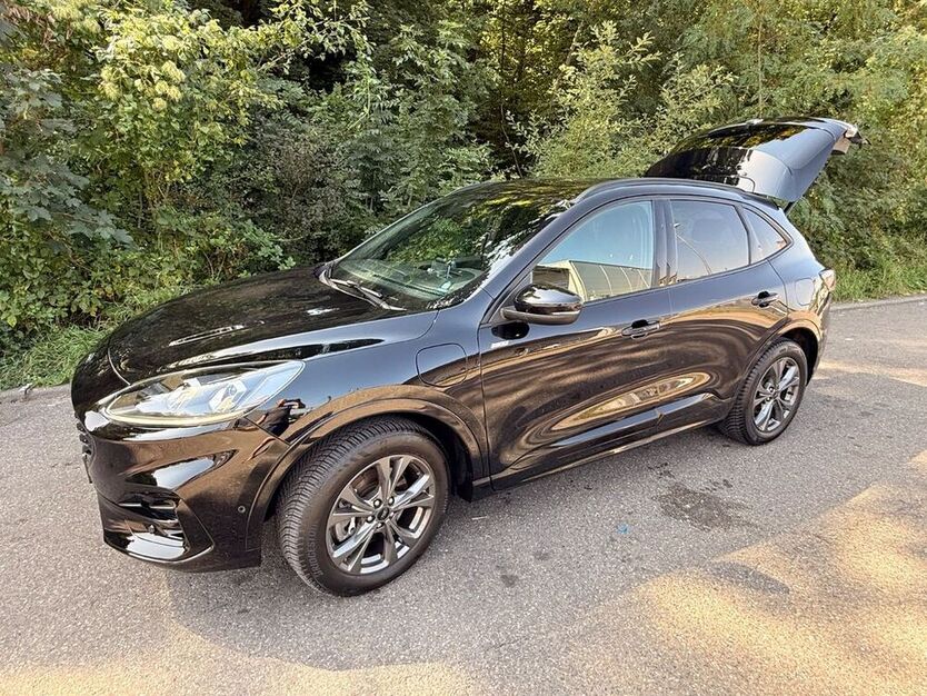 Kuga