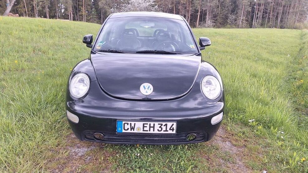 Beetle
