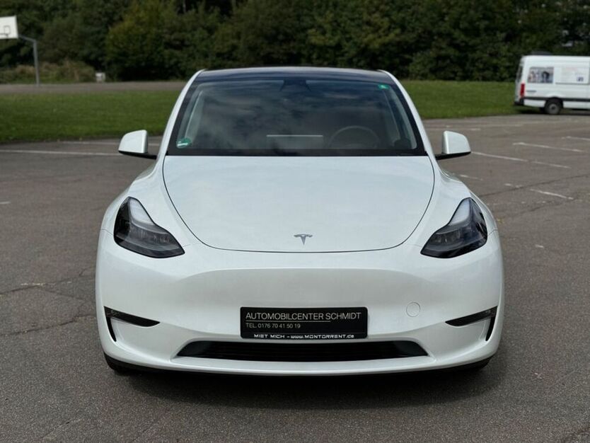 Model Y