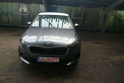 Skoda Scala 1.001 km 24.980 € Ludwigsburg 71634