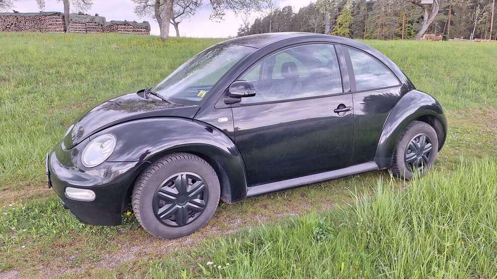 New Beetle