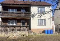Goldfisch inklusive Haus mit schönem Garten in guter Lage zu verkaufen