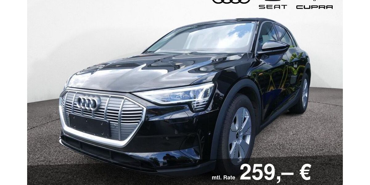 Audi e-tron 48.750 km 27.200 &euro; Bietigheim-Bissingen 74321