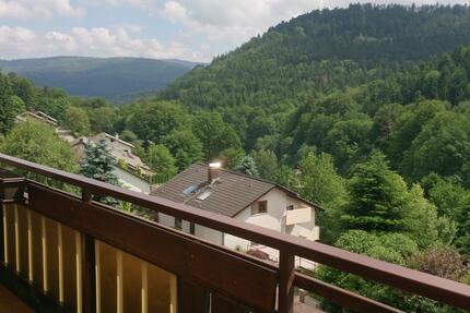 Wohnung Unterreichenbach - 1 Zimmer, 44 m&sup2;, 99.500&euro; | Angebot:24455153