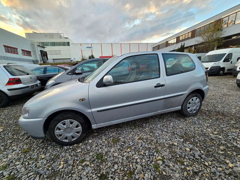 Polo