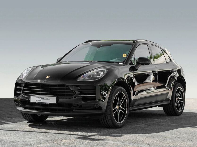Macan
