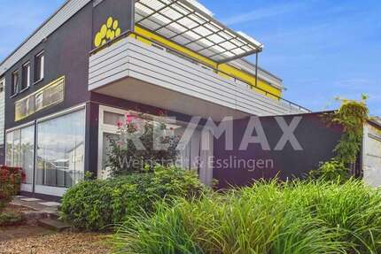 Halle in Fellbach 1.250.000 € 10 m² zimmer