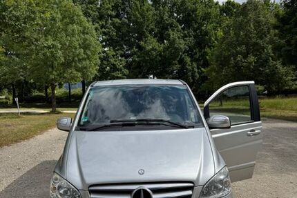 Mercedes Viano