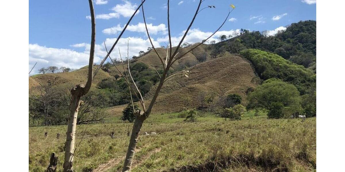 Grundstück in Costa Rica in einer der blauen Zonen der Erde - Grundstück Stuttgart | Angebot:6421932