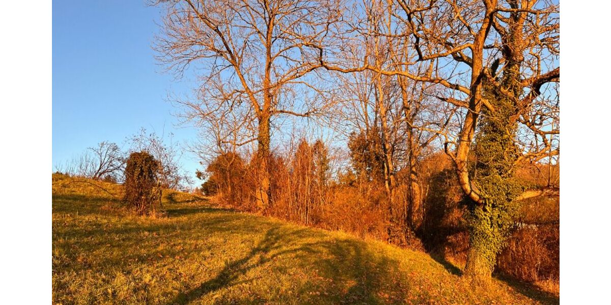Paradies für Familien und Gartenliebhaber - Einfamilienhaus Reutlingen Sondelfingen | Angebot:26633436