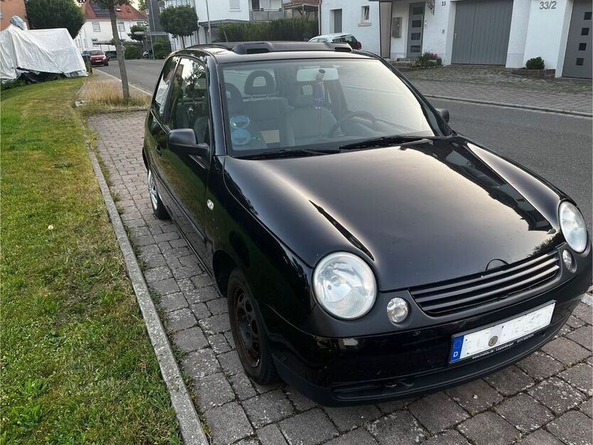 Lupo