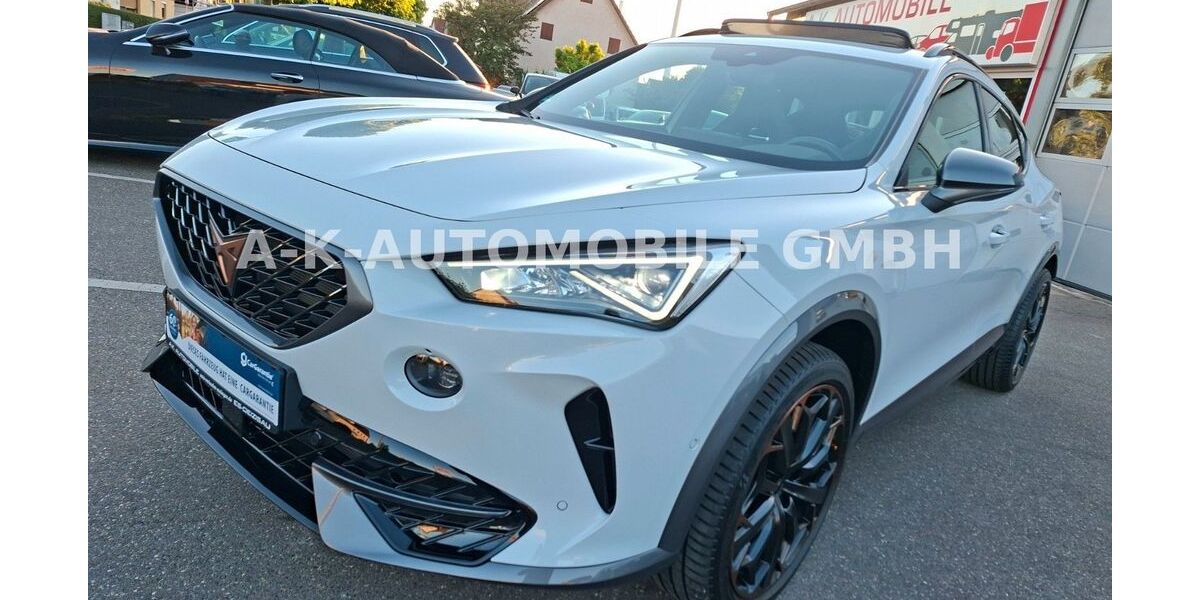 Cupra Formentor 13.142 km 34.999 &euro; Deizisau 73779