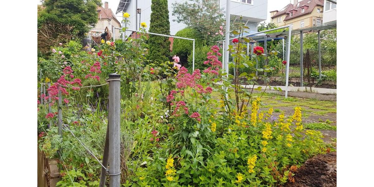 Erdgeschoßwohnung Stuttgart Stuttgart-Ost - 1 Zimmer, 13 m&sup2;, 440&euro; | Angebot:24750380