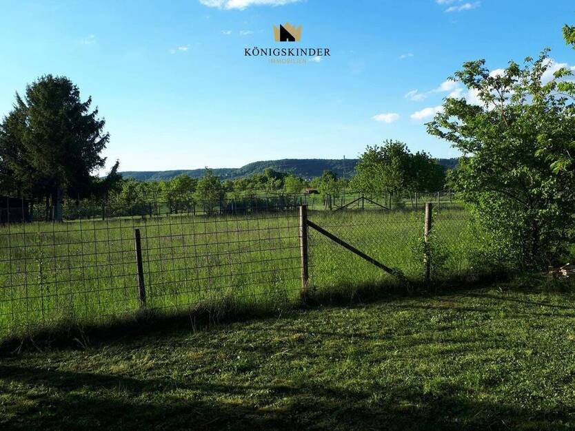 Vielfältiges Gartengrundstück in Altingen-991?m² für Naturgenuss, Gartenfreude und kreative Projekte