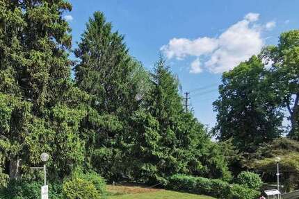 Grundstück Bad Teinach-Zavelstein Zavelstein - 129.000&euro; | Angebot:26169484