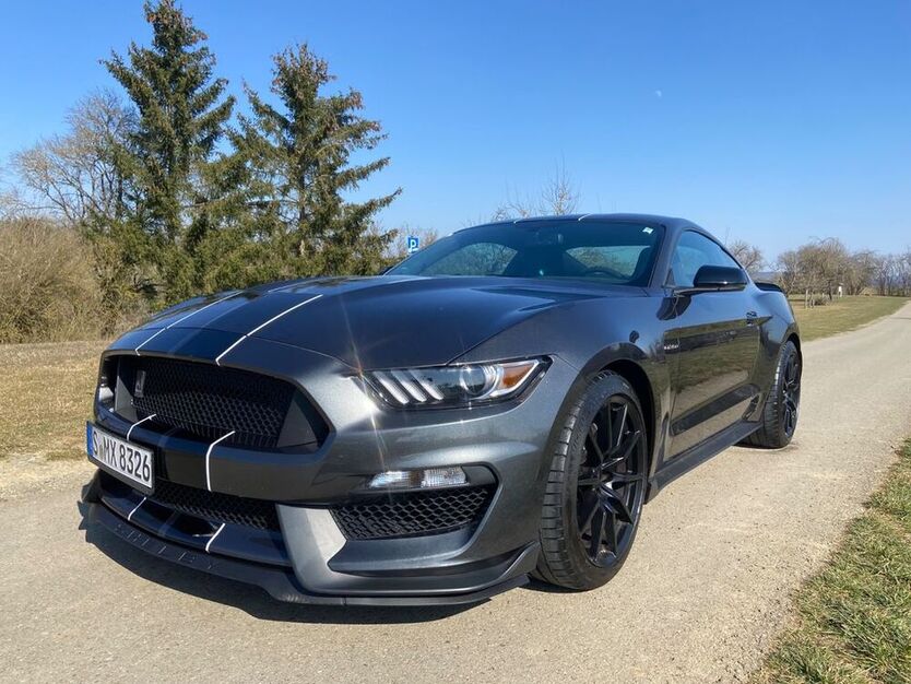 Mustang
