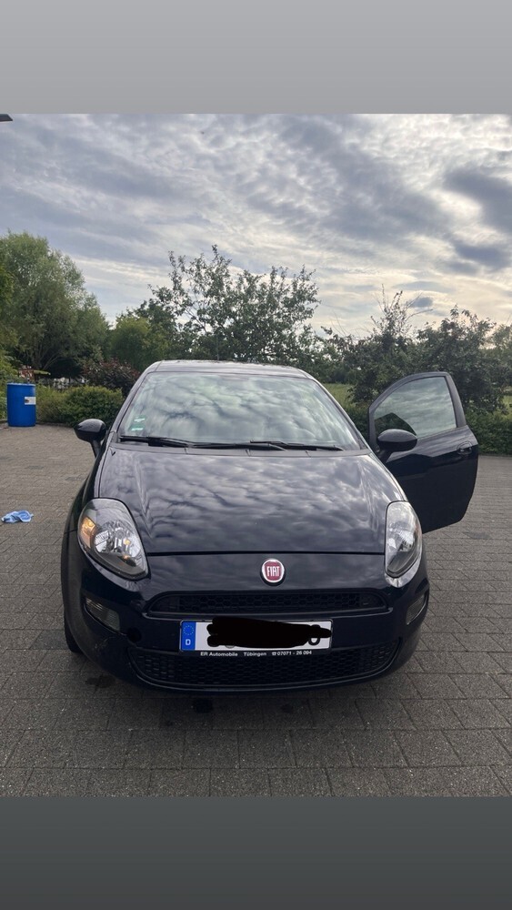 Punto Evo