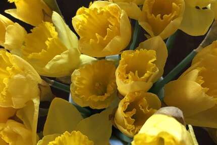 Wohnung Rottenburg am Neckar - 5 Zimmer, 160 m&sup2;, 555.000&euro; | Angebot:26032587