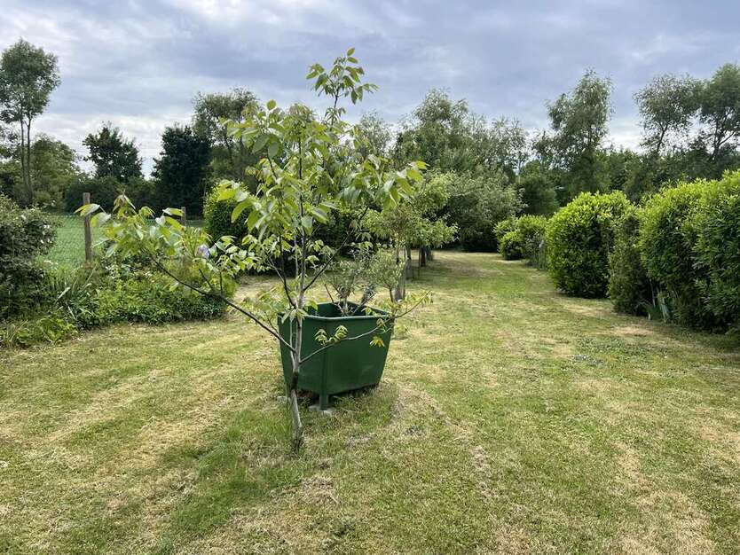Grundstück zu verkaufen in Ditzingen 73.500 € 1400 m²