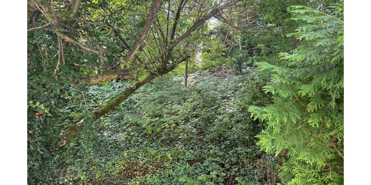 Grundstück Weil der Stadt - 1.710.000&euro; | Angebot:25667132