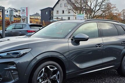 Cupra Terramar 17.880 km 36.490 &euro; Oberreichenbach 75394