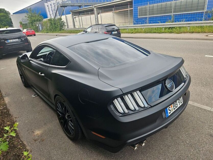 Mustang