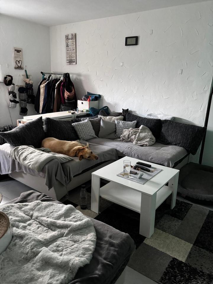 3 Zimmer Wohnung zu vermieten