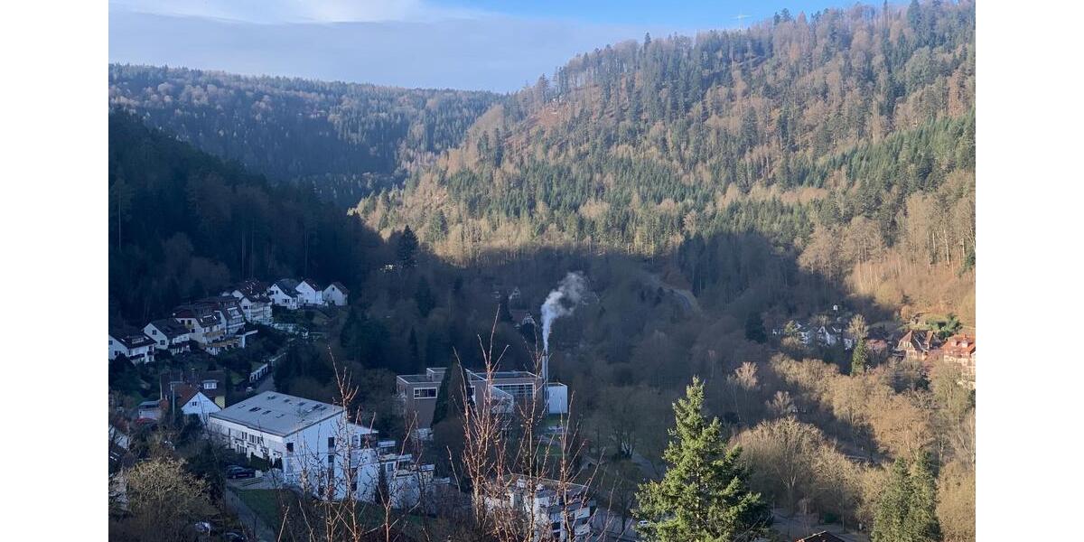 Dachgeschoßwohnung Bad Liebenzell - 1.5 Zimmer, 54 m&sup2;, 122.000&euro; | Angebot:24952201