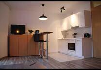 Möblierte 1 Zimmer Wohnung nahe BlüBa zentral mit Balkon + Küche
