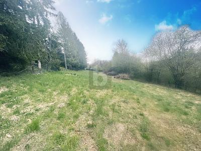 FREIZEITGRUNDSTÜCK AM NATURSCHUTZGEBIET - Grundstück Calw | Angebot:27182388