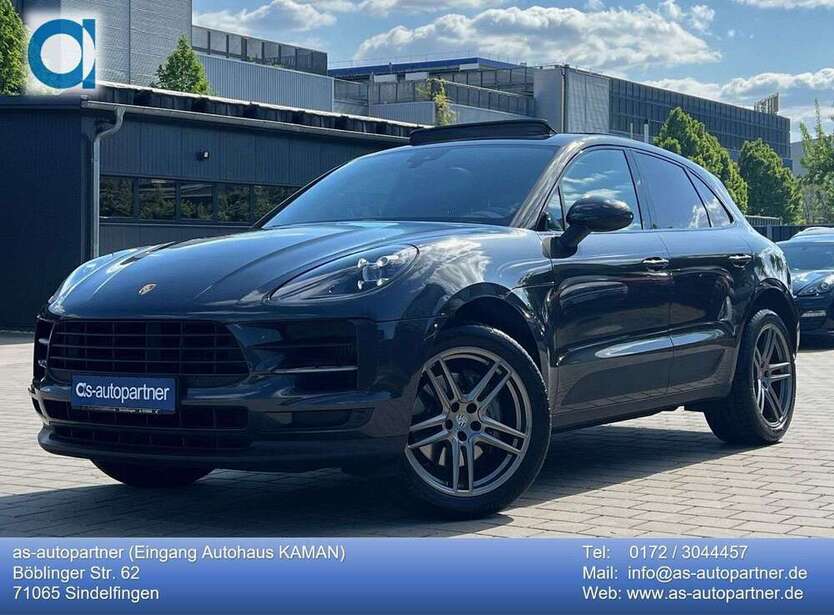 Macan