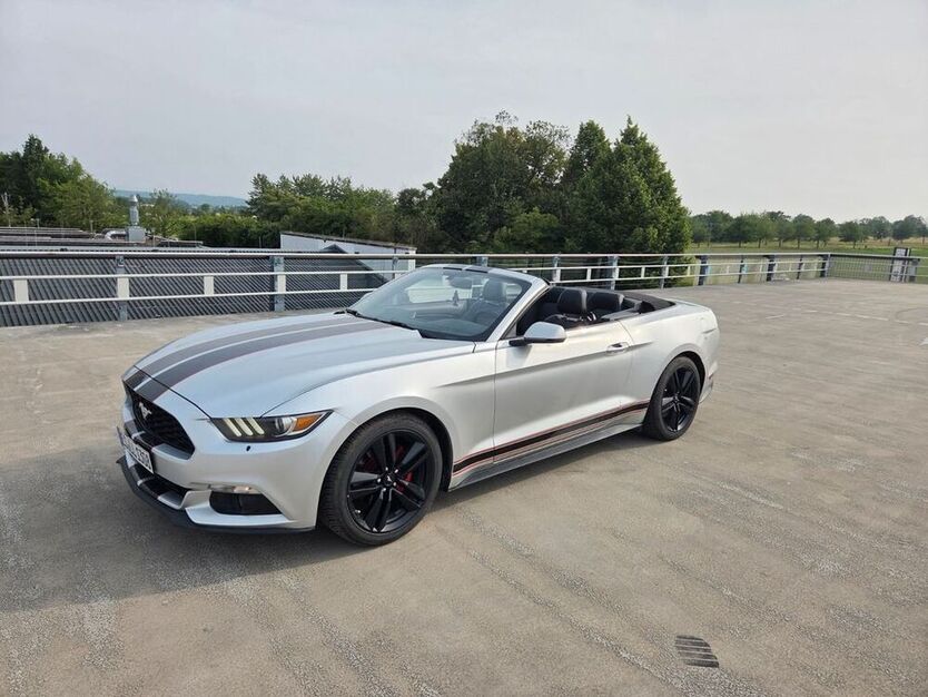 Mustang