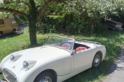 Austin Rover Andere 999.999 km 12.800 &euro; Pforzheim 75179