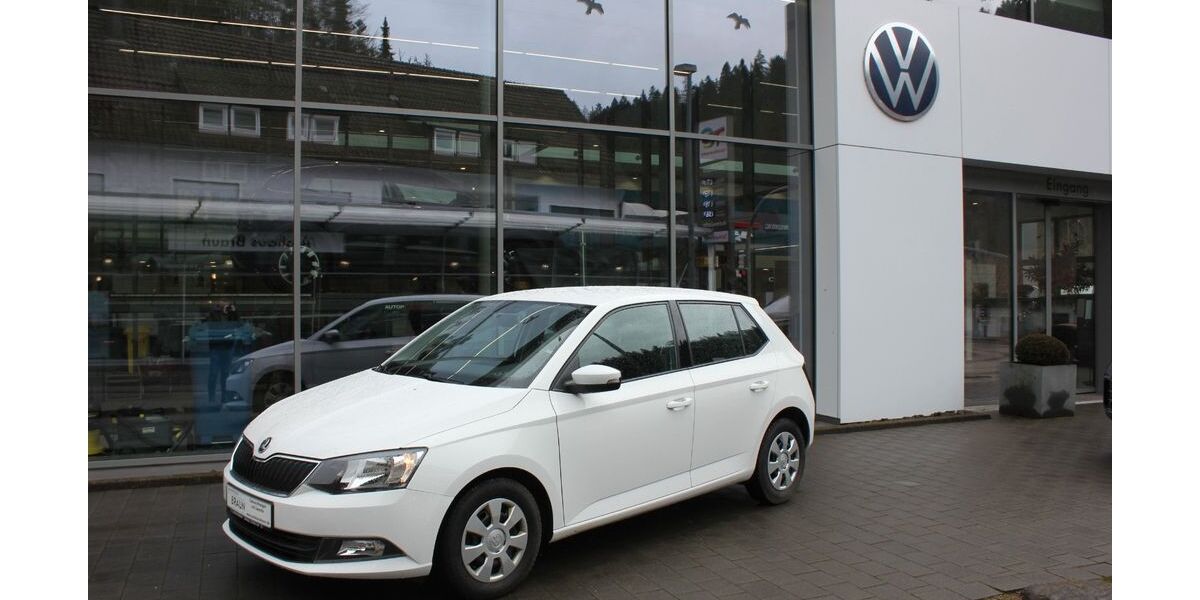 Skoda Fabia 128.390 km 8.490 &euro; Wildberg 72218