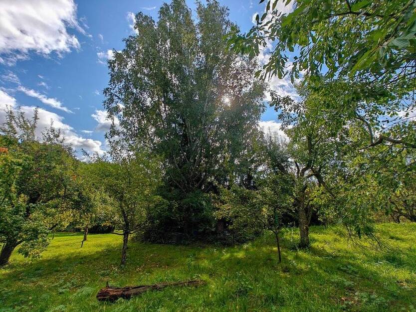 Obstwiese mit Hütte am Fuße der Achalm zu verkaufen