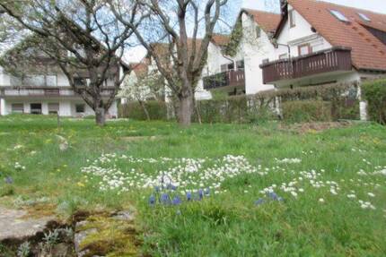 Ein selten schöner Bauplatz in Gechingen zimmer