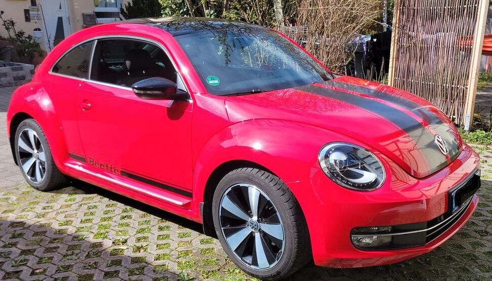Beetle