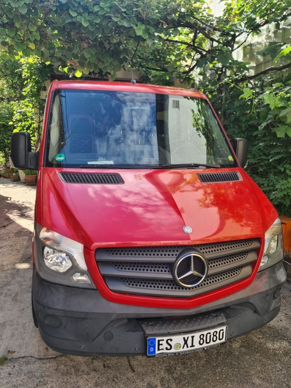 Sprinter