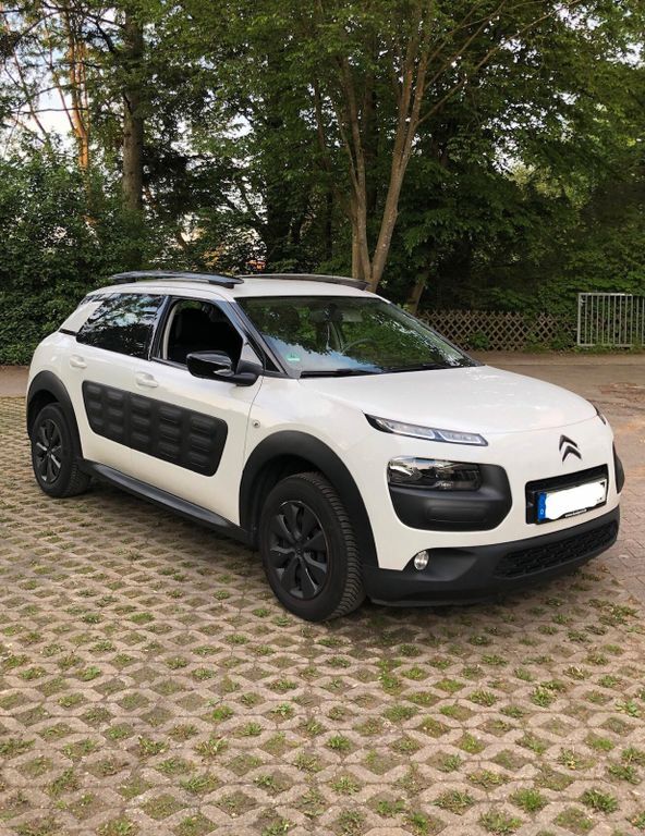 C4 Cactus