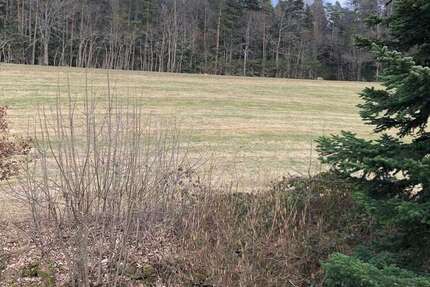 Zimmer Bad Teinach-Rötenbach Rötenbach - 2.5 Zimmer, 720&euro; | Angebot:24816396